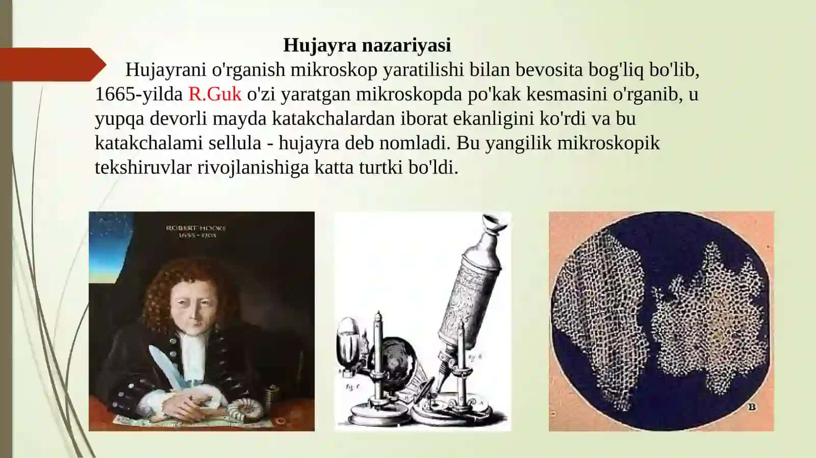 Hujayraningtuzilishivafunksiyalari 3