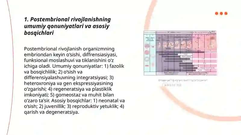 Post embrional rivojlanish umumiy qonuniyatlari 3