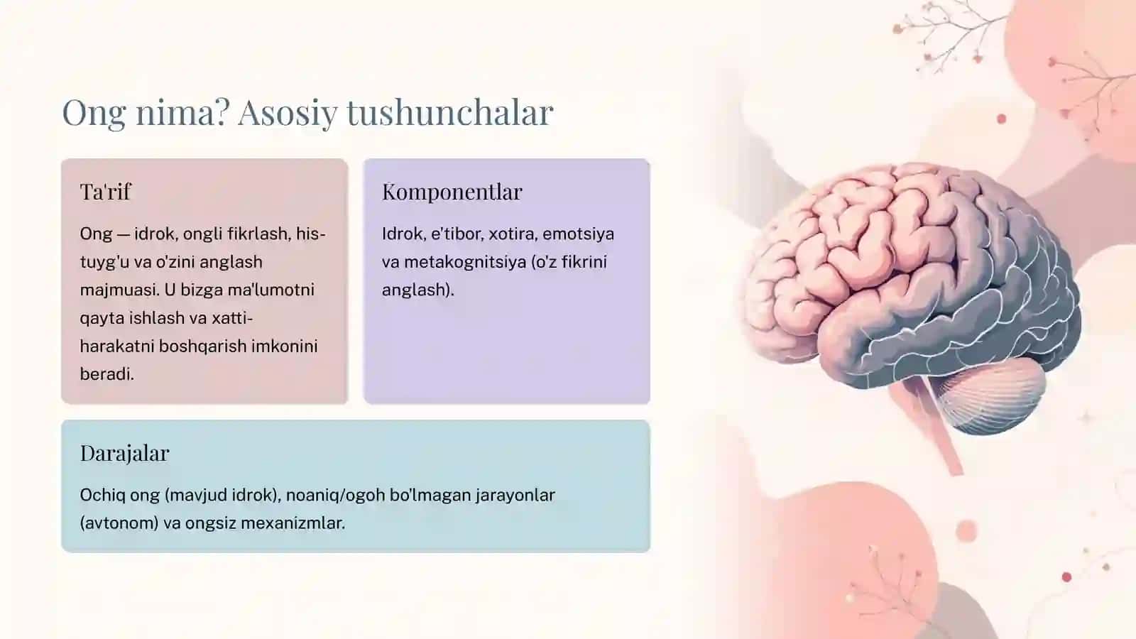 Ong tuzilmasi to'g'risida tushuncha 3