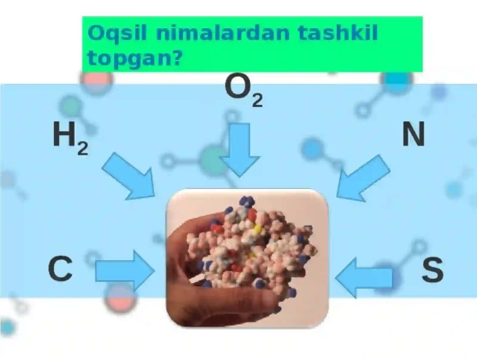 Oziqovqatoqsillari,tuzilishi,tarkibivakatalitikxususiyatlari 3