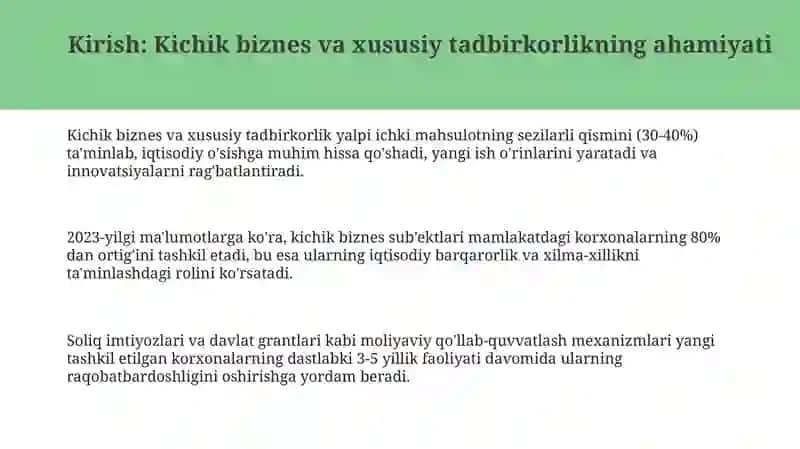 Kichik biznes va xususiy tadbirkorlikni rivojlantirish bo'yi​cha davlatning iqtisodiy siyosati 3