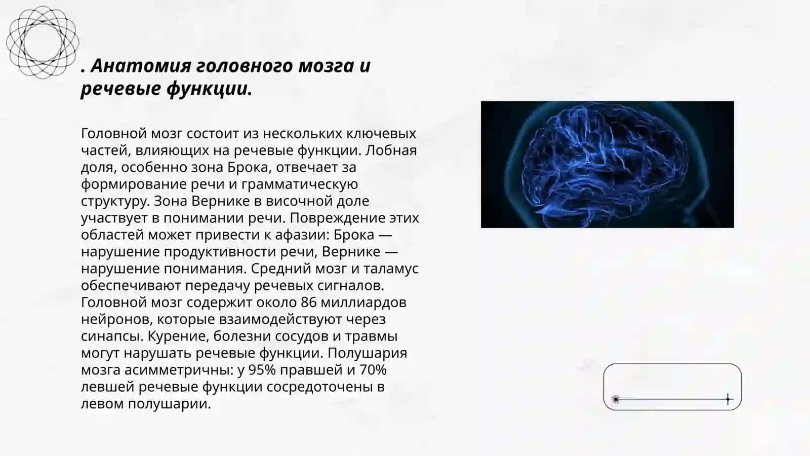 Головной мозг. Стили речи 3