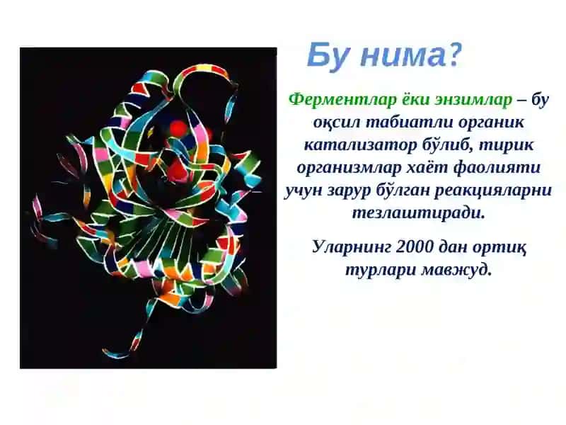 Ферментлар 3