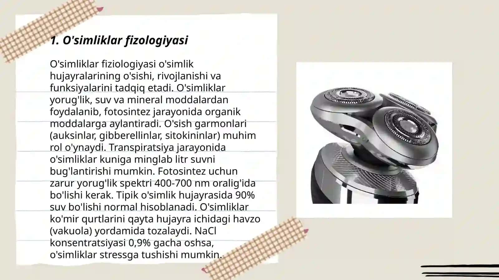 Plauntoifa o‘simliklar bo‘limini o‘rganish 3
