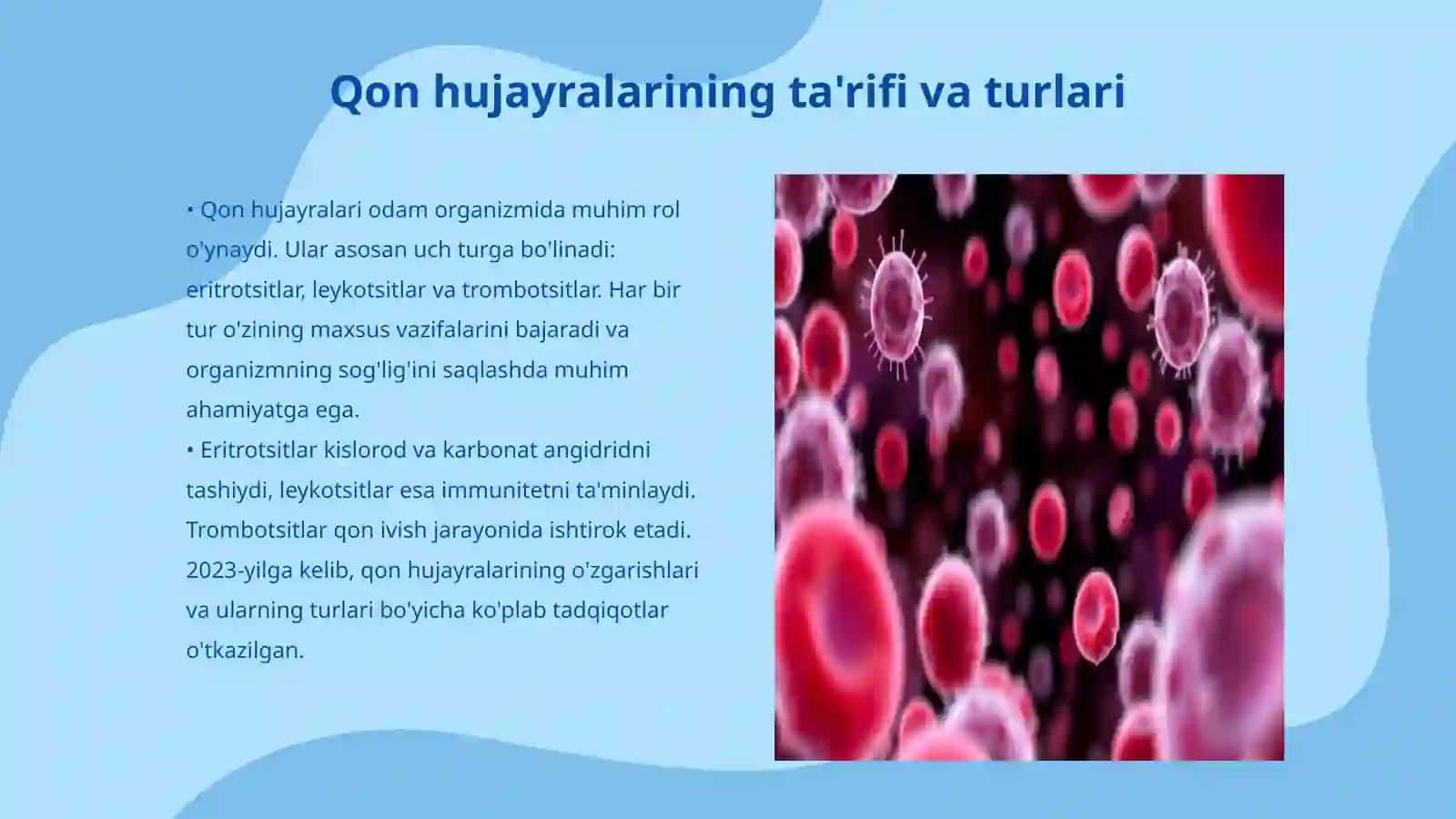 Qon hujayralarining reparativ regeneratsiyasi va tiklanish jarayonlari 3