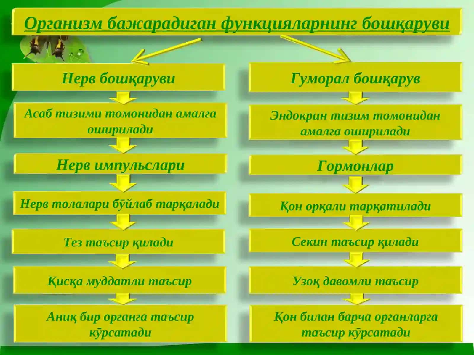 Организмдаги физиологикжараёнларнинг гуморал бошқаруви 3
