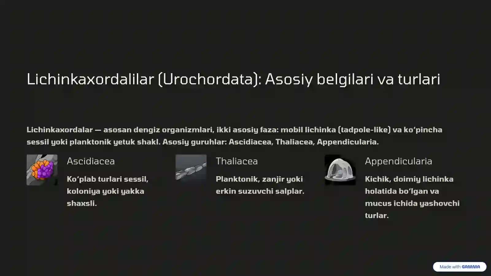Xordalilar tipi (Chordata) va Lichinkaxordilar (Urochordata) - Sistematikasi va filogeniyasi 3