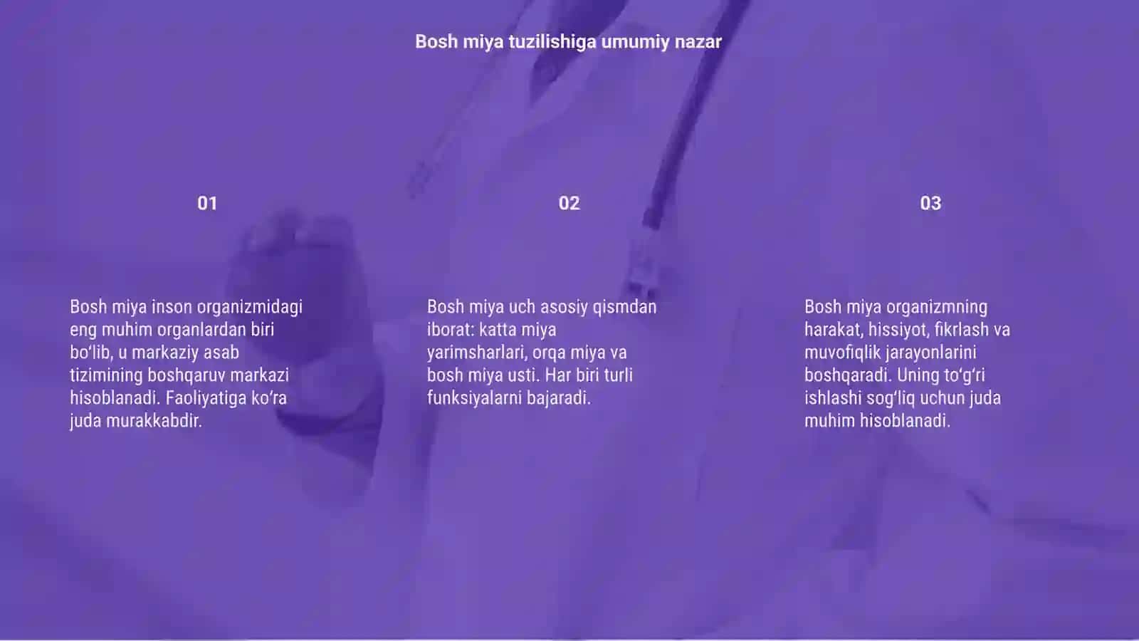 Bosh miya tuzilishi vazifasi va ahamiyati 3