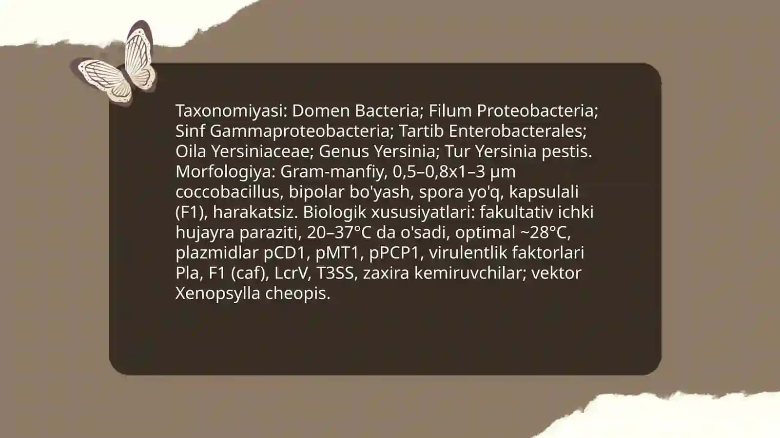Õta xavfli zoonoz infeksiyalar: vabo qõzģatuvchisi morfologiyasi, xossalari, potogenezi, davosi, profilikatsiyasi 3