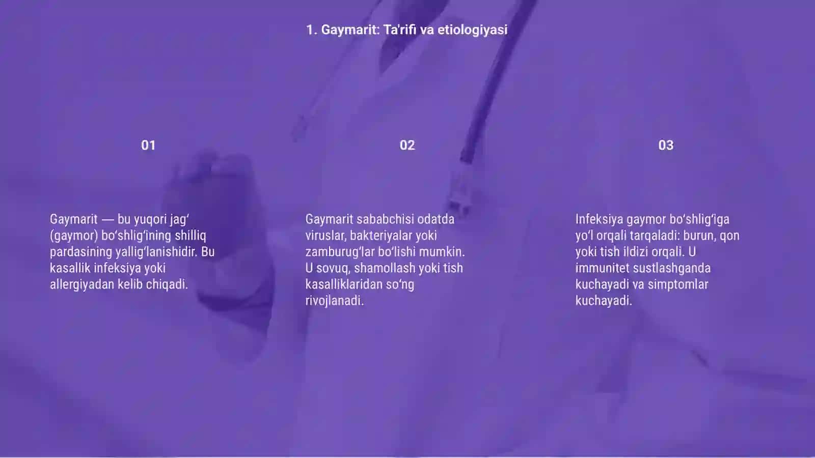 Gaymarit 3