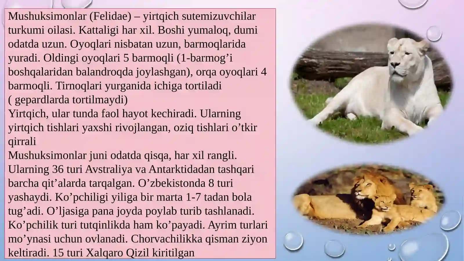 MUSHUKSIMONLAR, HAYOT KECHIRISHI VA TARQALISHI 3