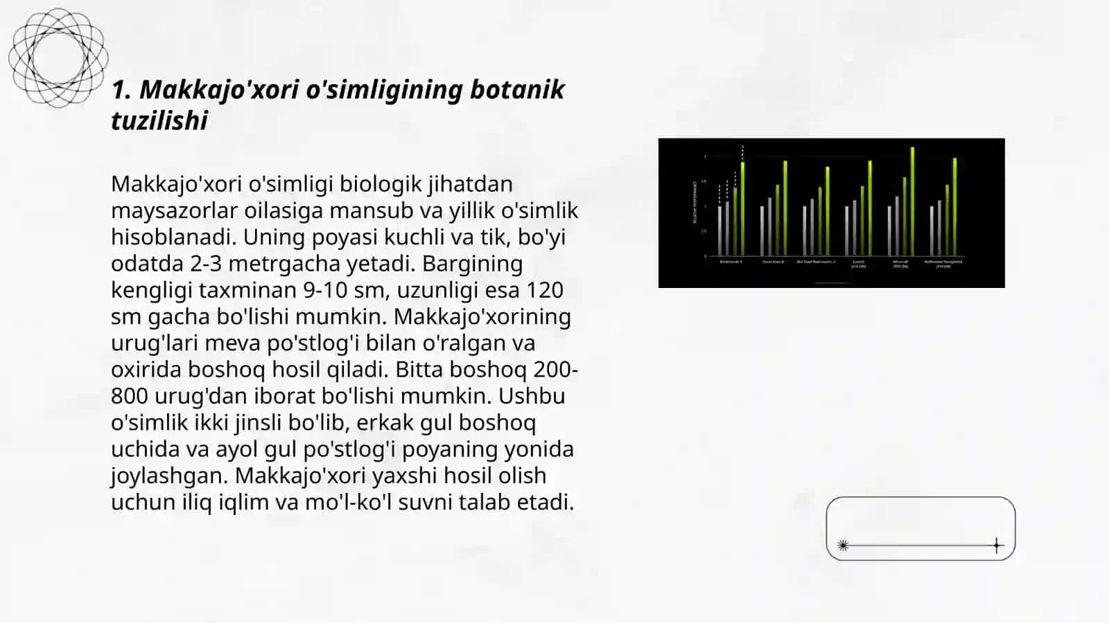 Makkajo'xori biologiyasi va yetishtirish texnologiyasi 3