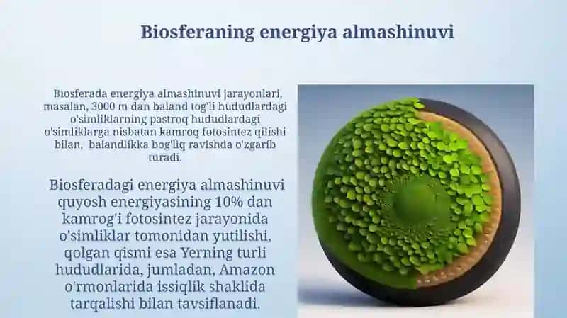 Biosfera. Biosferaning asosiy funktsiyalari va tarkibi 3