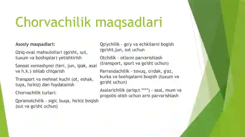 Chorvalik haqida slayd prezentatsiya 3