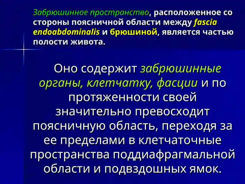 Лекция №9 (4) Хирургическая анатомия 3