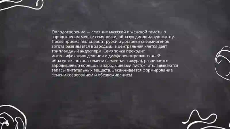 Семя 3
