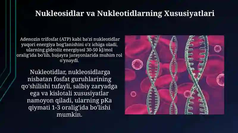 Nukleosidlar va Nukleotidlarning Xususiyatlari 3