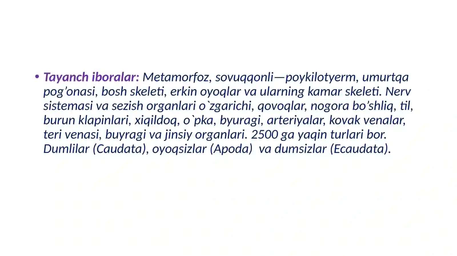 To‘rtoyoqlilar kattasining umumiy tavsifi va sistemikasi 3