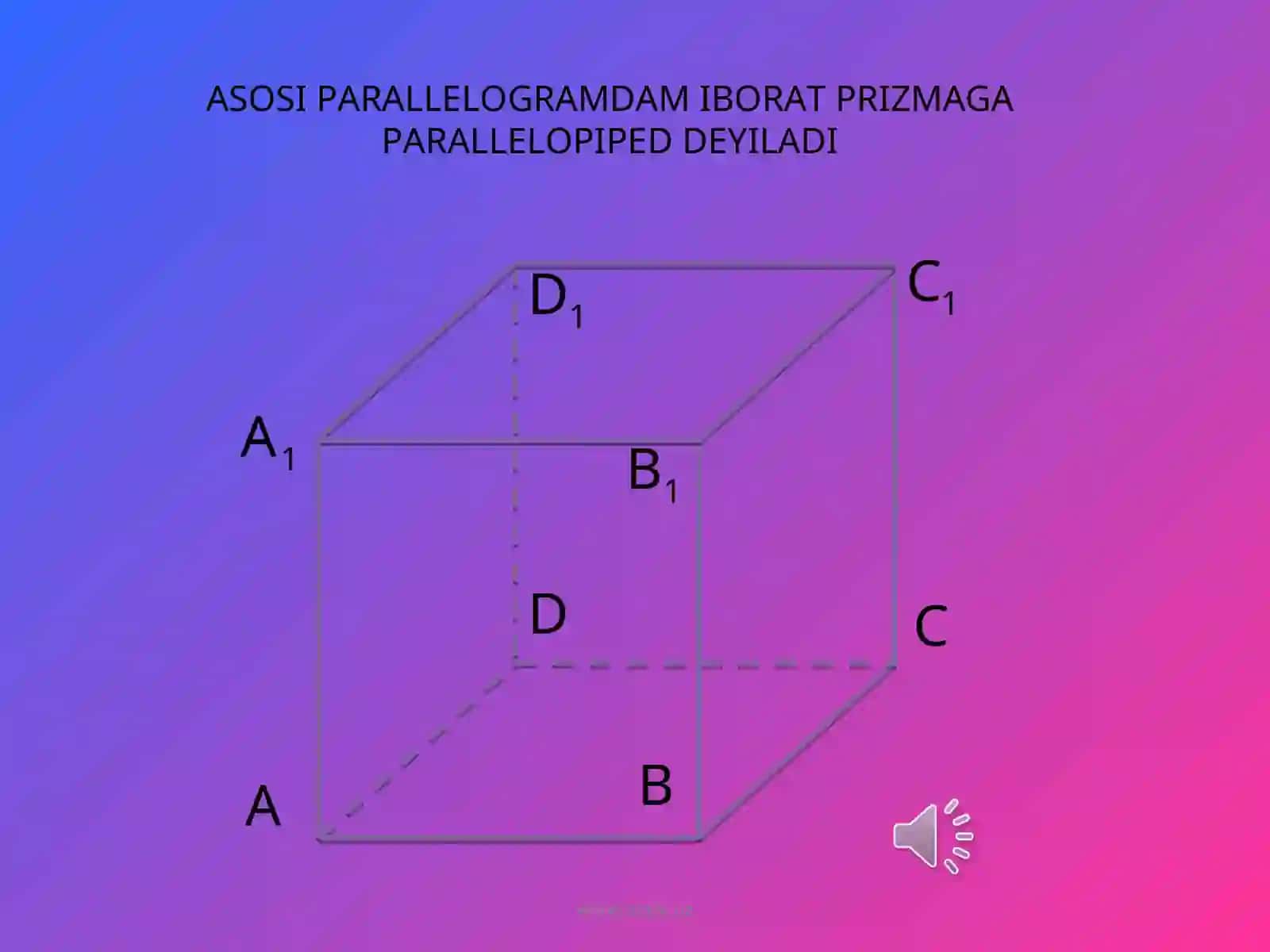 PRIZMALAR 3