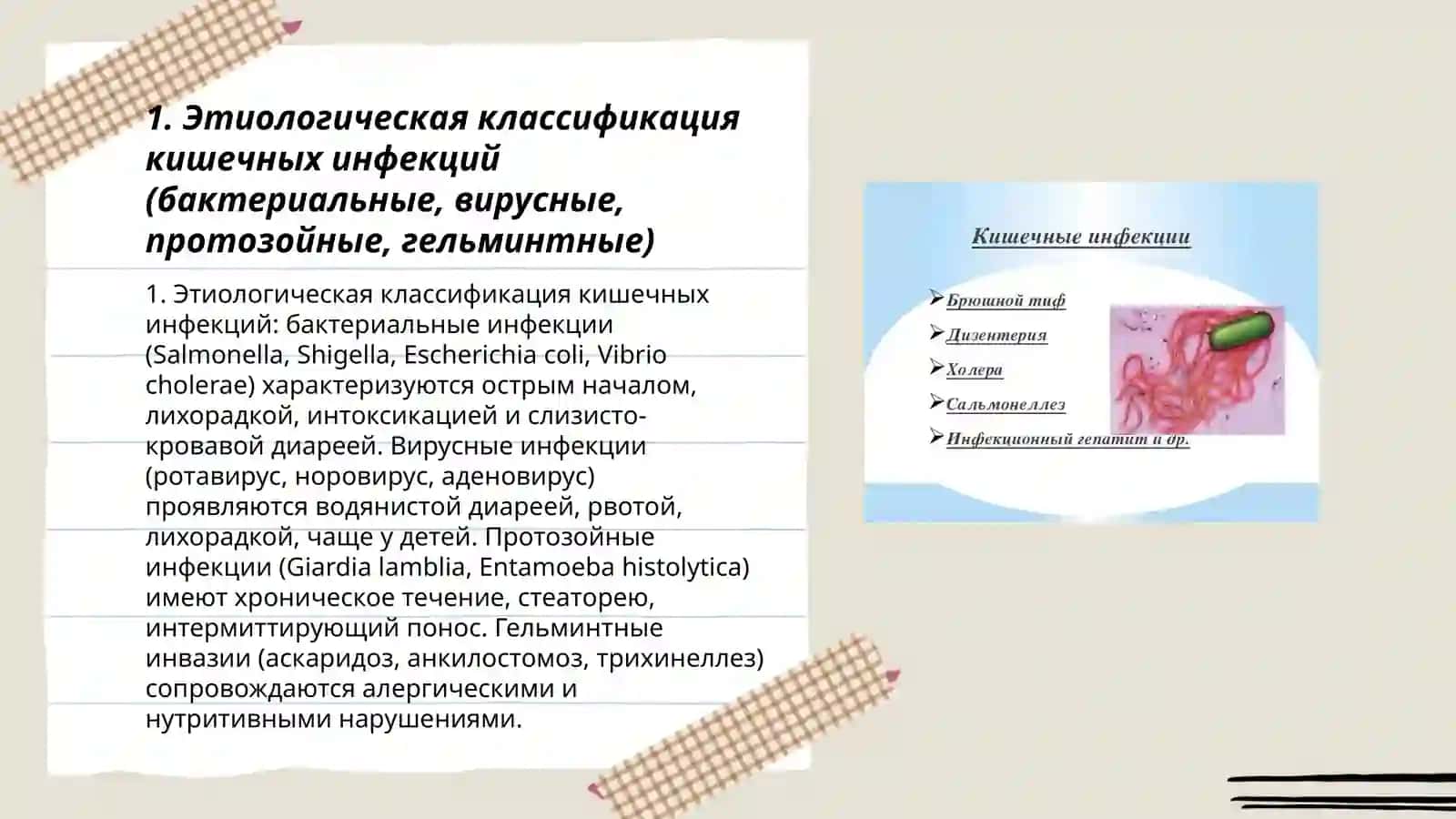Классификация кишечных инфекций и их характерные особенности 3