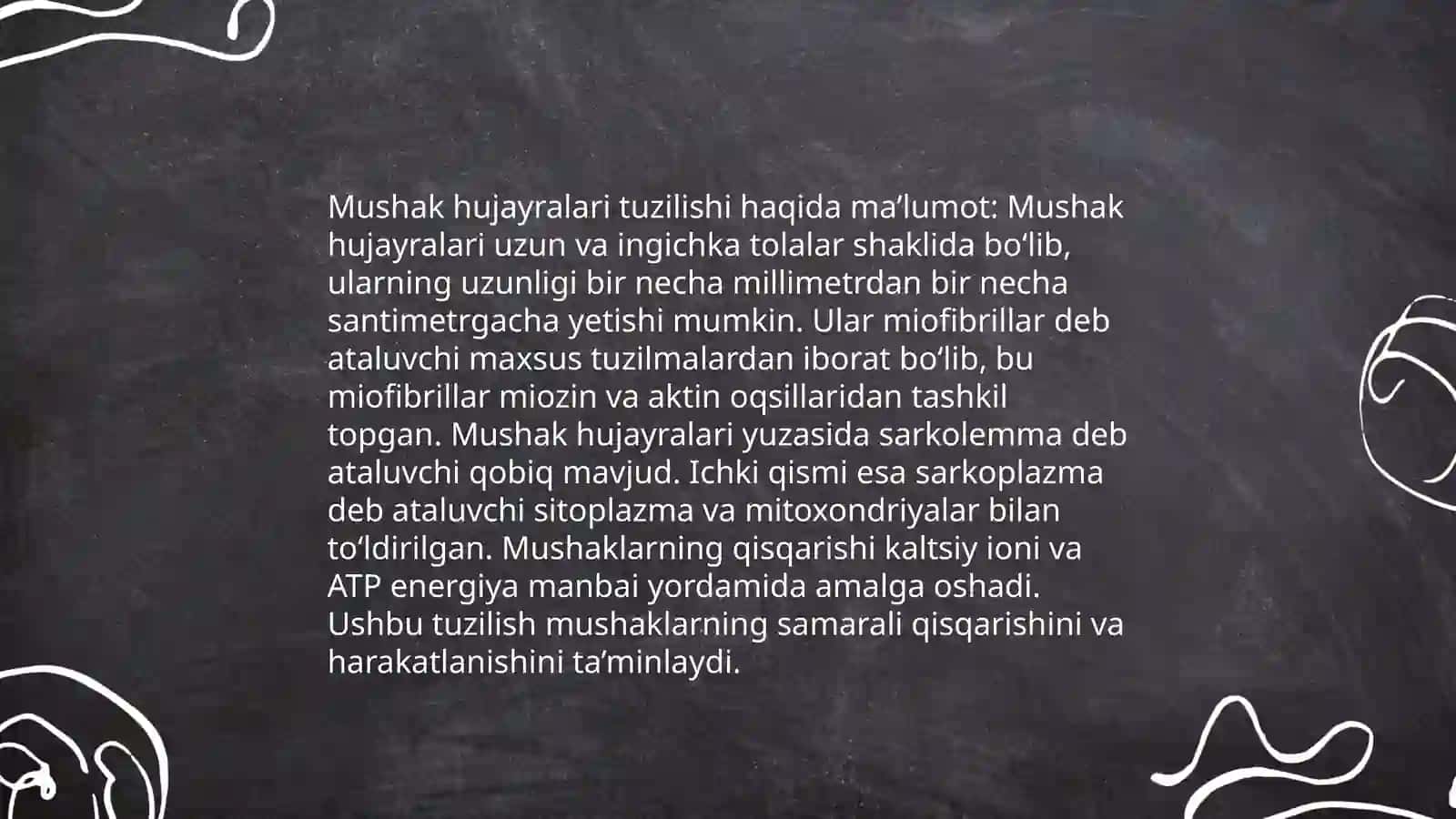 Mushaklar tuzulishi 3