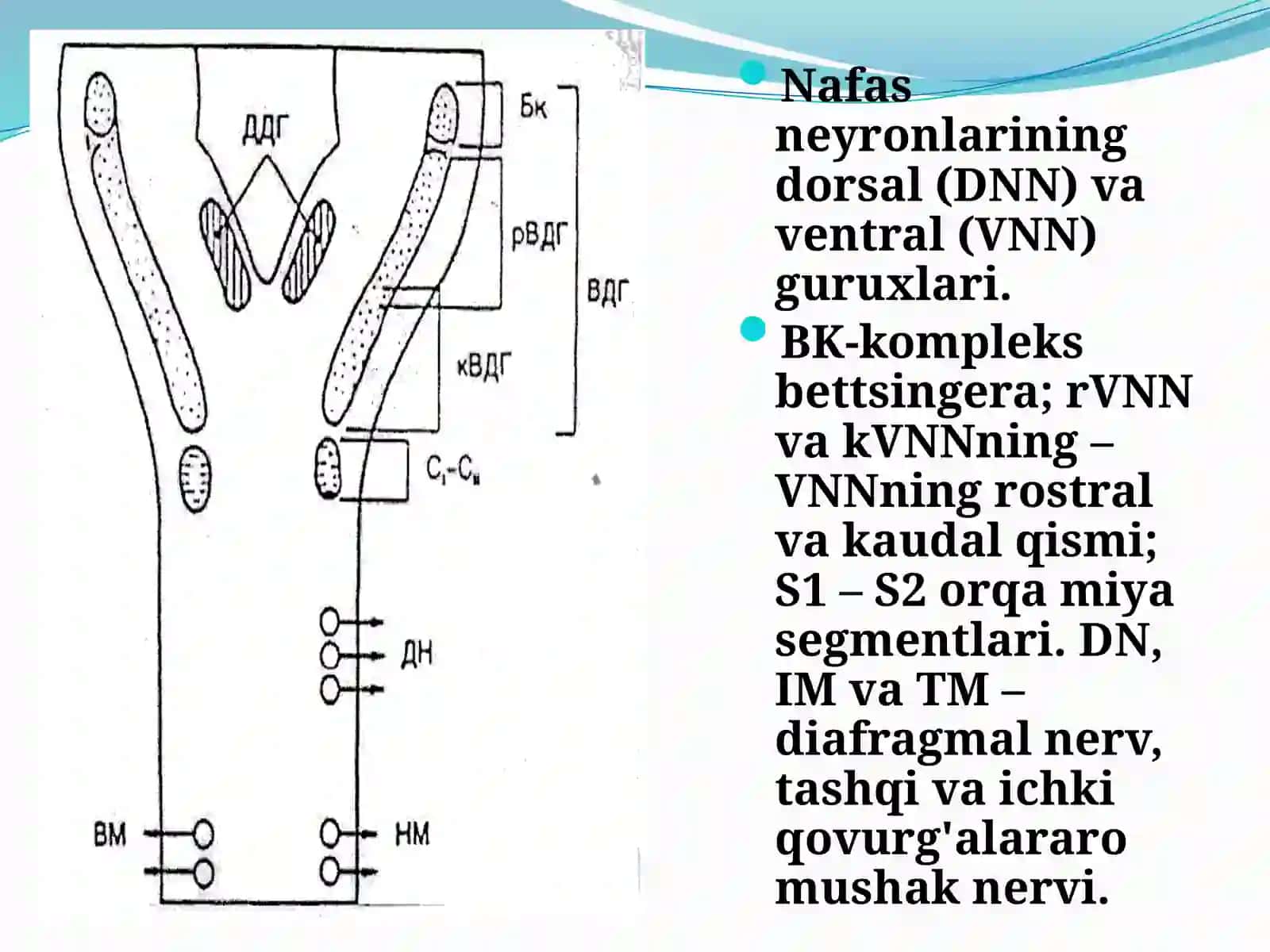 Nafas neyro variant yuxsadiagnostika 3
