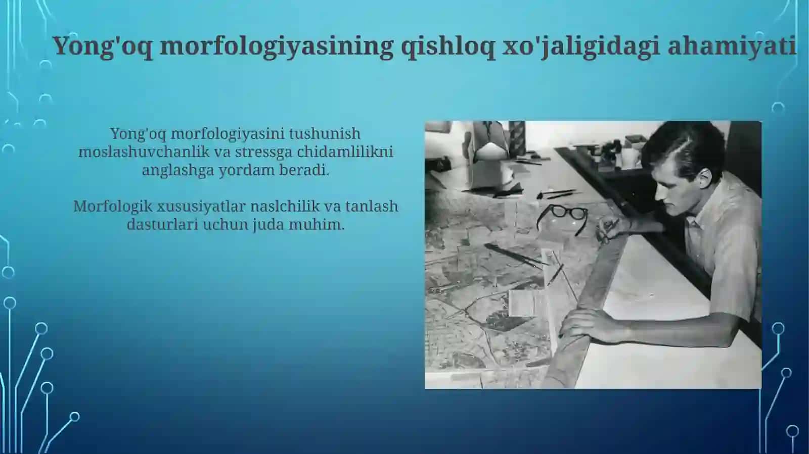 Yong'oqmorfologiyasirivojlanishi 3