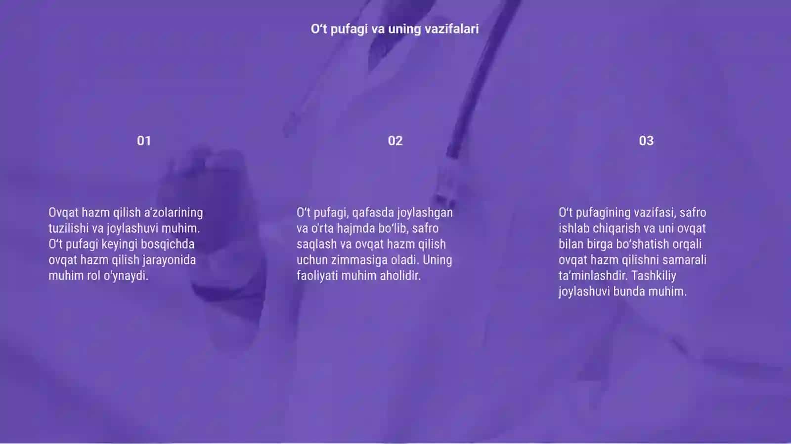 Ovqat hazm qilish a'zolarini tuzilishi joylashuvini oʻzganish 3