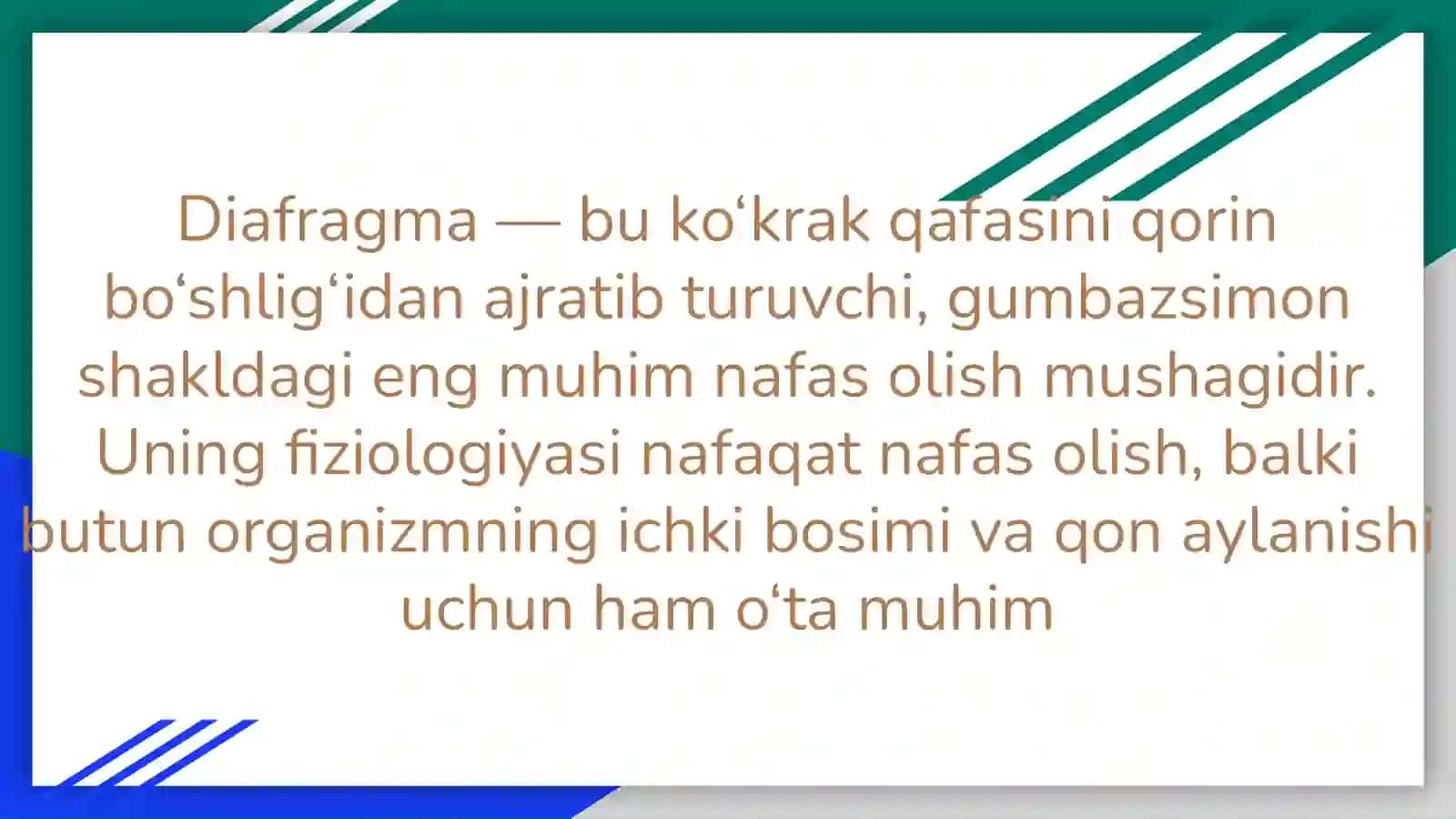 Dıafragma muwaklar fızıologıyası 3