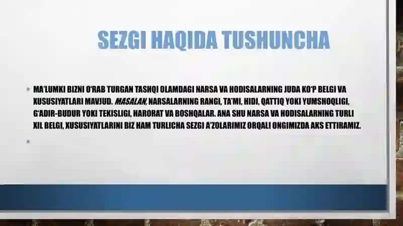 Sezgi va idrok 3