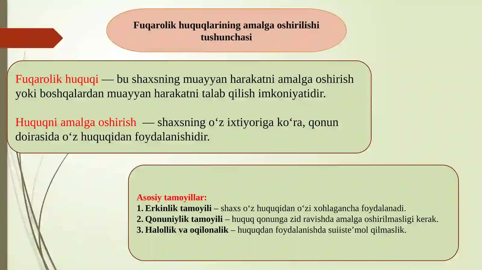 Fuqarolik huquqlarining amalga oshirilishi va burchlarining bajarilishi 3