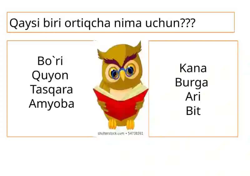 Hayvon organizmi tuzilishi Hayvonlarni klassifikatsiya qilish 3