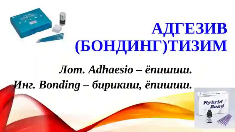 Адгезив тизим 3
