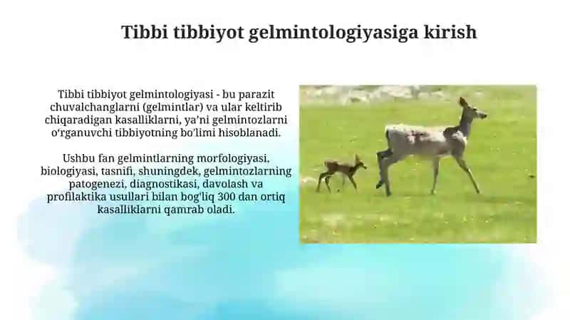 Tibbiy gelmintologiya va araxnoentomologiya 3