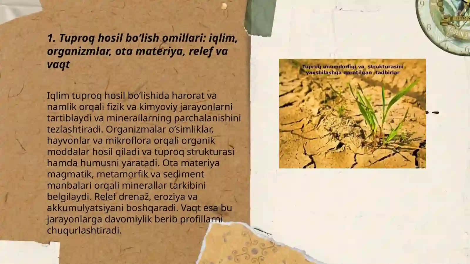 Tuproqning genezisi. Klassifikatsiyasi va geografiyasi 3
