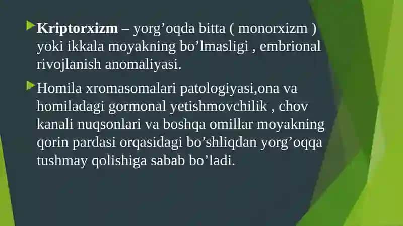 Kriptorxizm 3