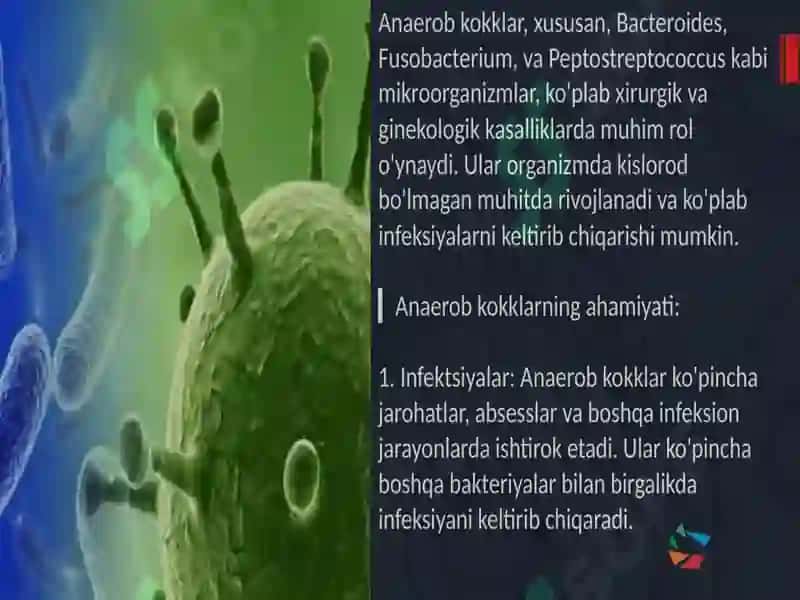 Osiyo Xalqaro Universiteti Tibbiyot Fakulteti 35-dav 24-Guruh - Mavzu: Shartli patogen anaerob kokklar 3