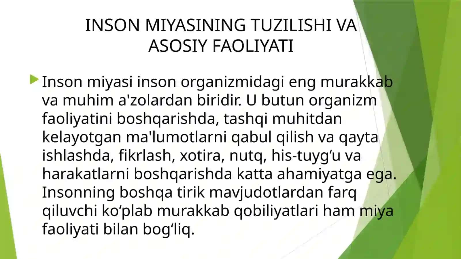 INSON MIYASINING TUZILISHI VA ASOSIY FAOLIYATI 3