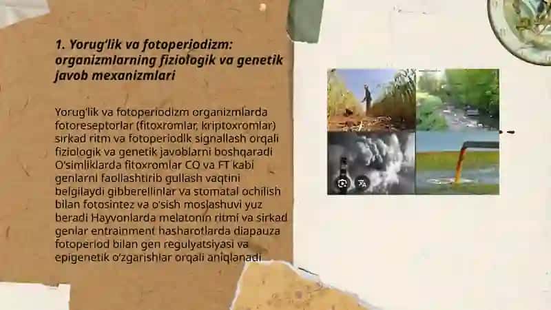 Turli ekologik omillarning tirik organizmlarga ta'sir etish mexanizmlari 3