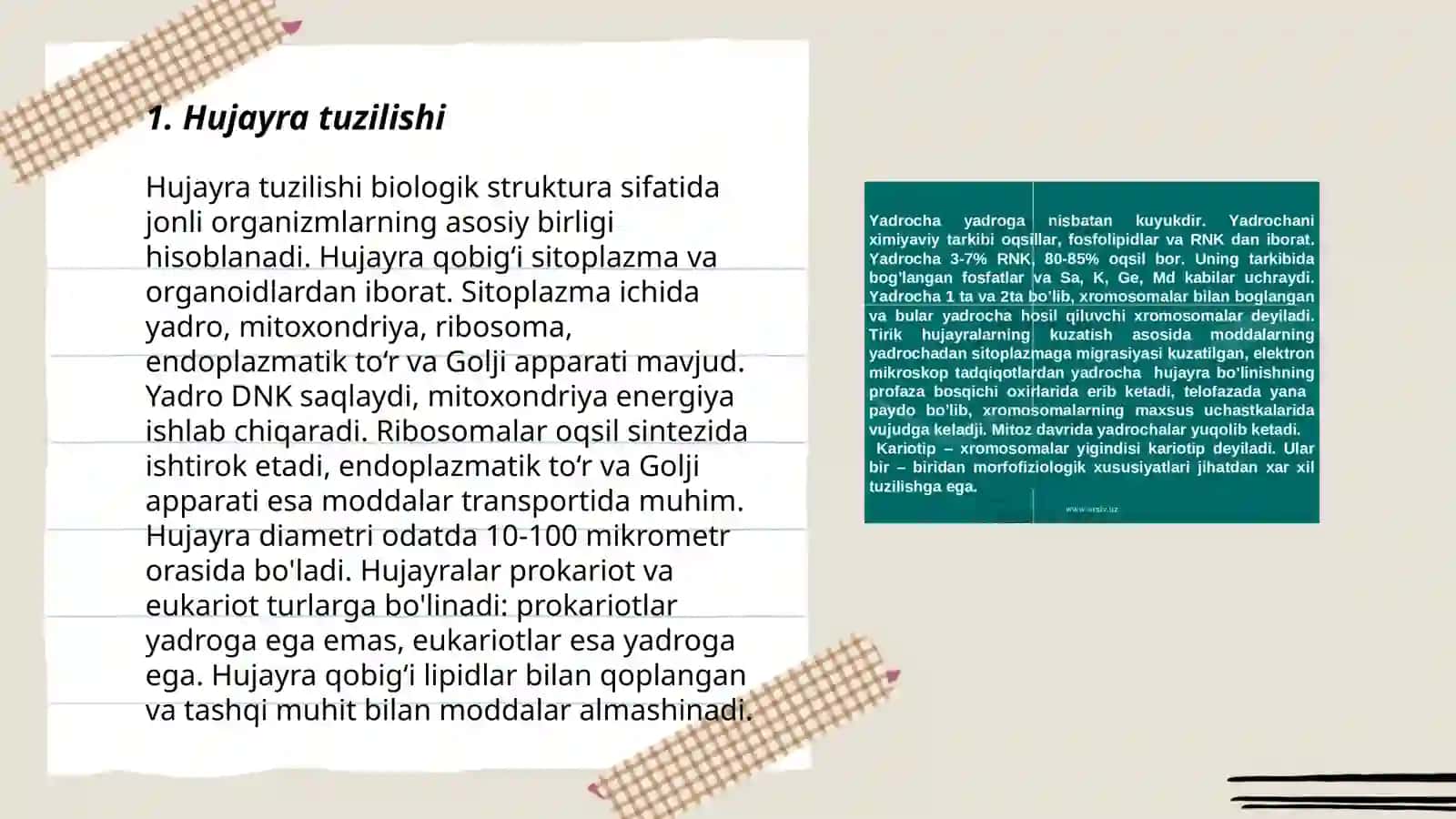 Hujayra va hujayradan tashqari matriks munosabatlar 3