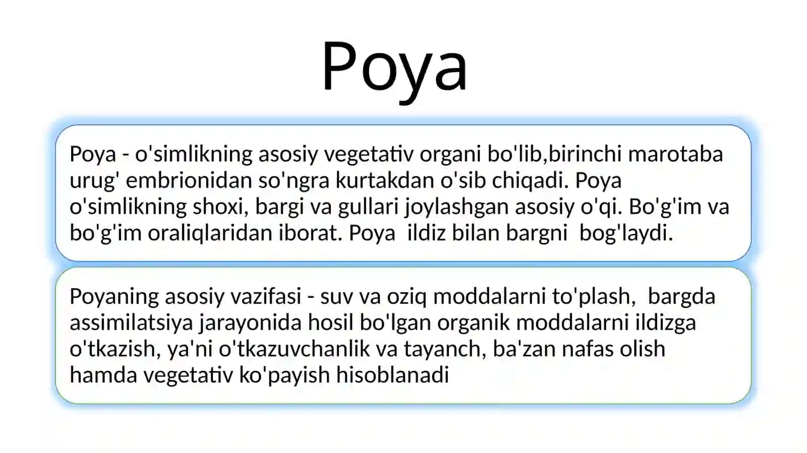 POYANING MORFOLOGIK VA ANOTOMIK TUZILISHI 3
