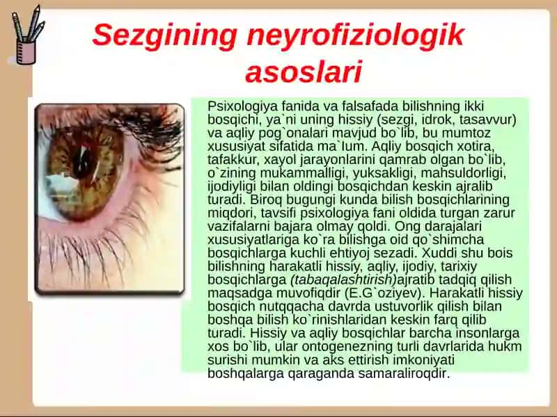 SEZGI 3