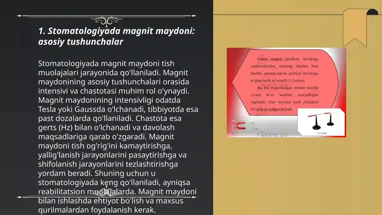 Stomatologiyada magnit maydoni: asosiy tushunchalar 3