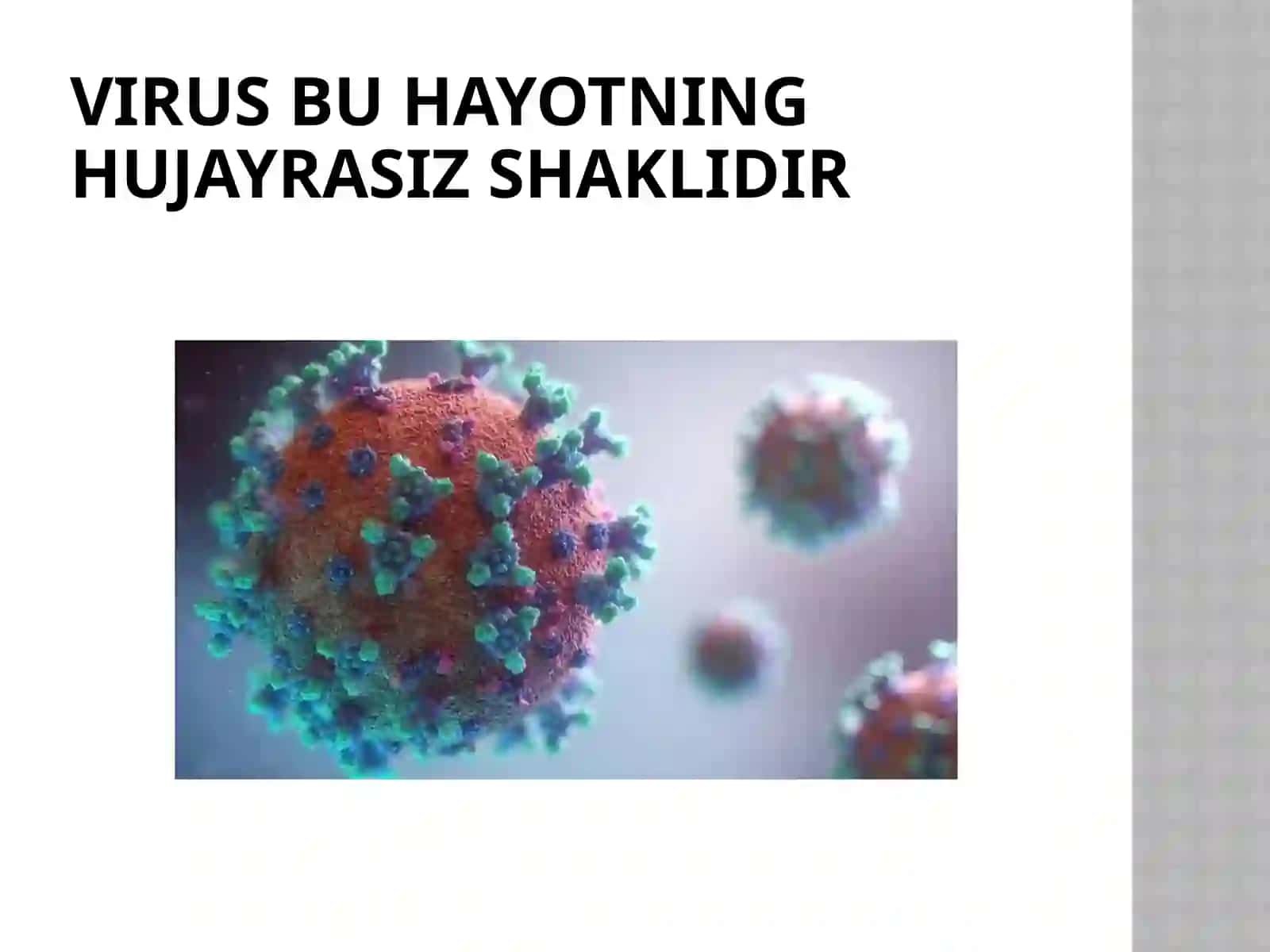 Viruslarning kashf etilishi 3