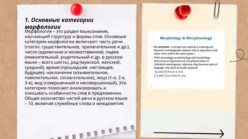 Морфология 3