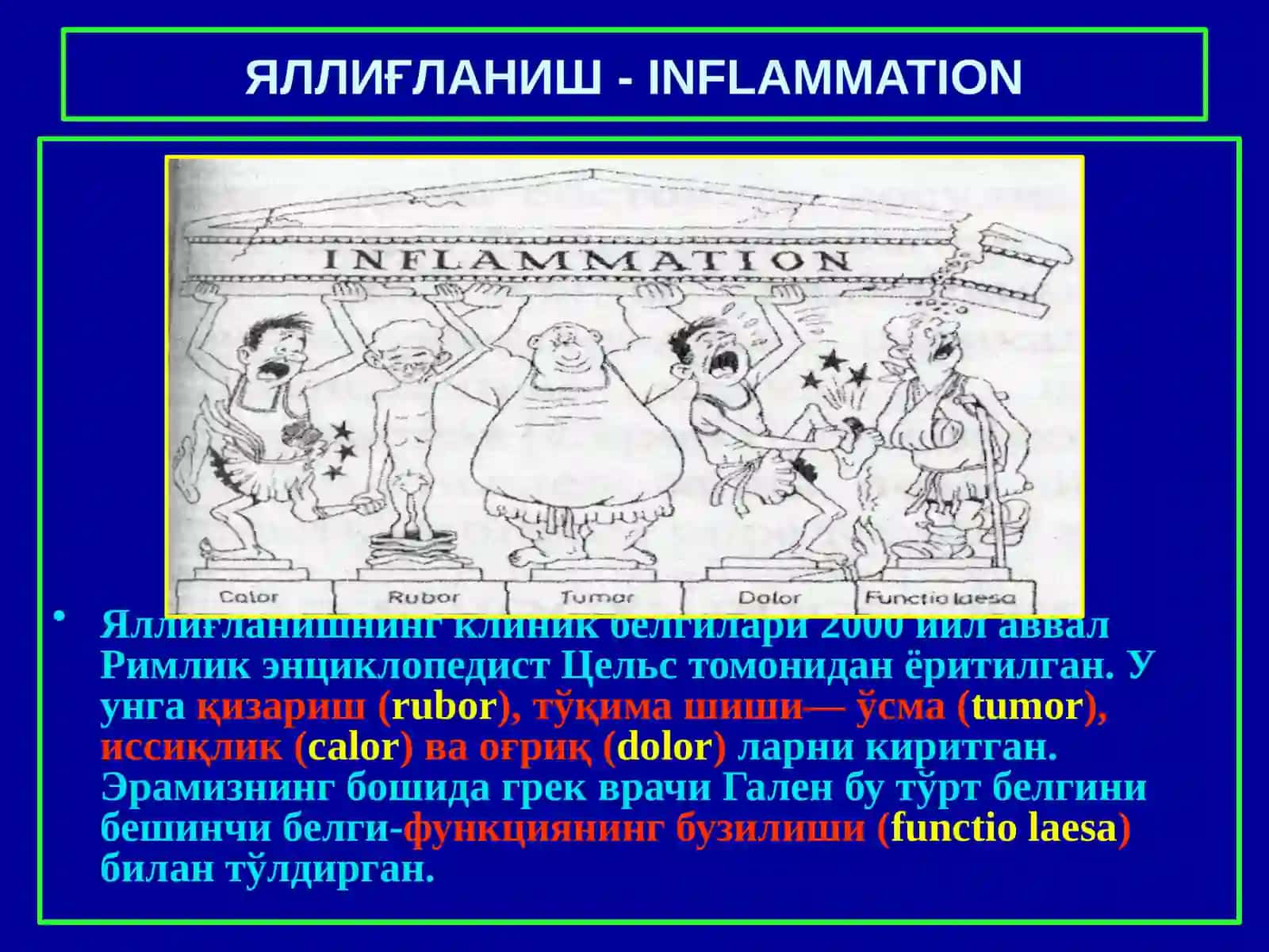 ПАТОЛОГИК АНАТОМИЯ 3