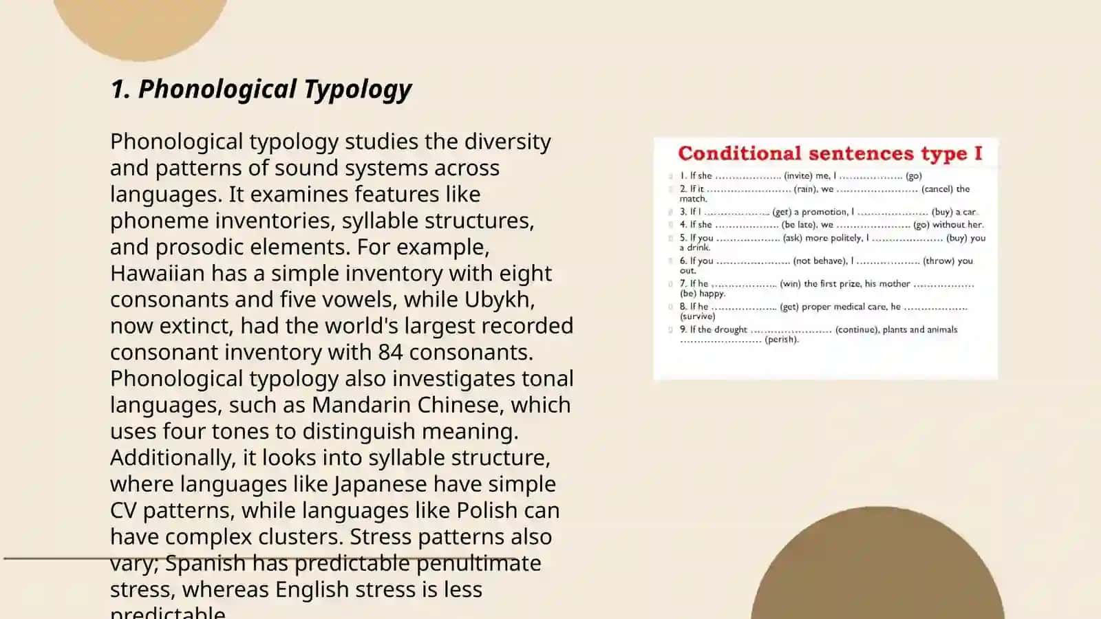 Linguistik tyopologiya 3