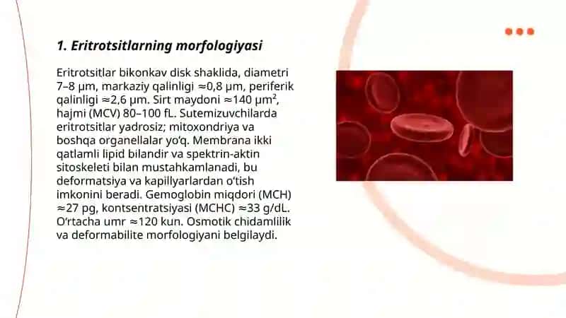Eritrotsitlar 3