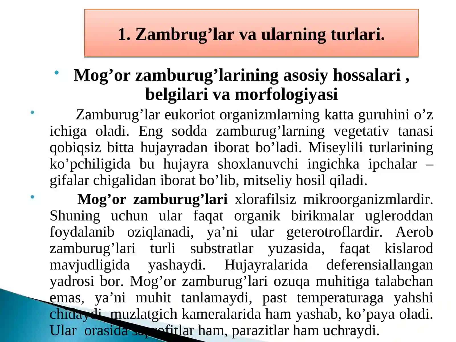 Mog’or zambrug’lari va achitqilar 3