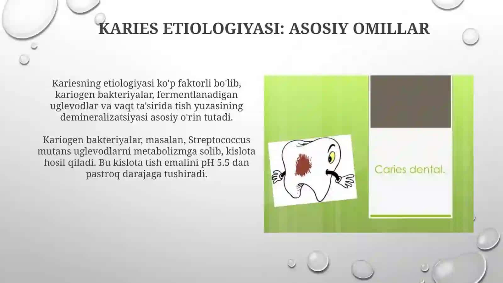 Kariesning etiologiyasi va patogenezi 3